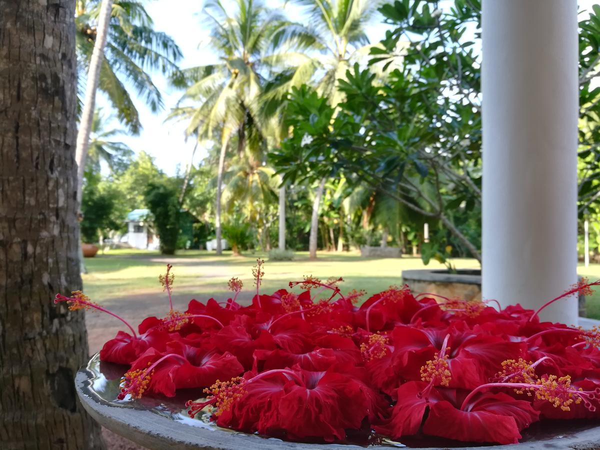 Villa Gaetano Унаватуна Экстерьер фото